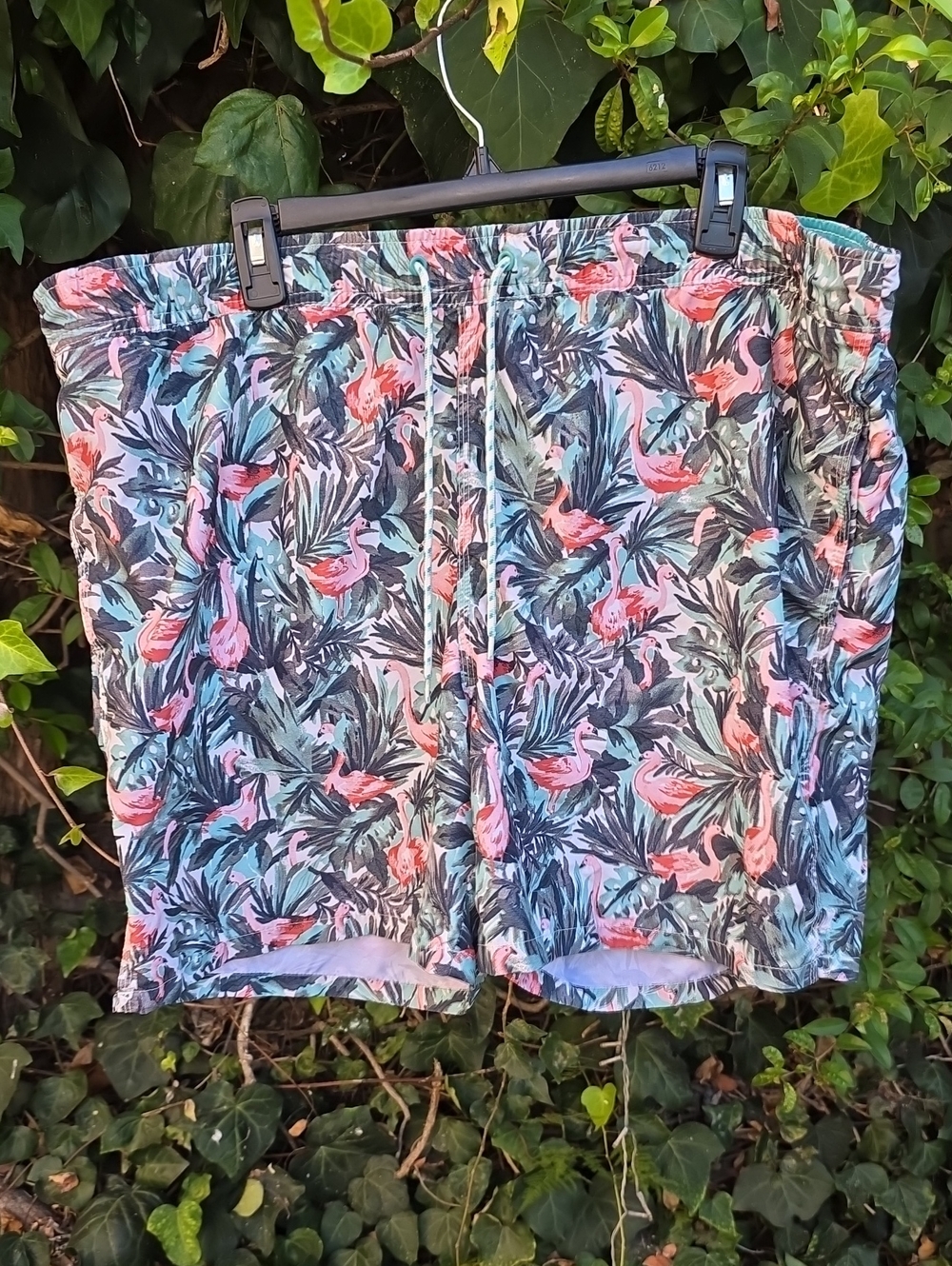 Goodfellow & Co Tropical Flamingo Swim Shorts in Teal & Coral